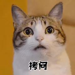 88d61d516ca744d6ab8651abb21cc3eb.jpg 88d61d516ca744d6ab8651abb21cc3eb.jpg